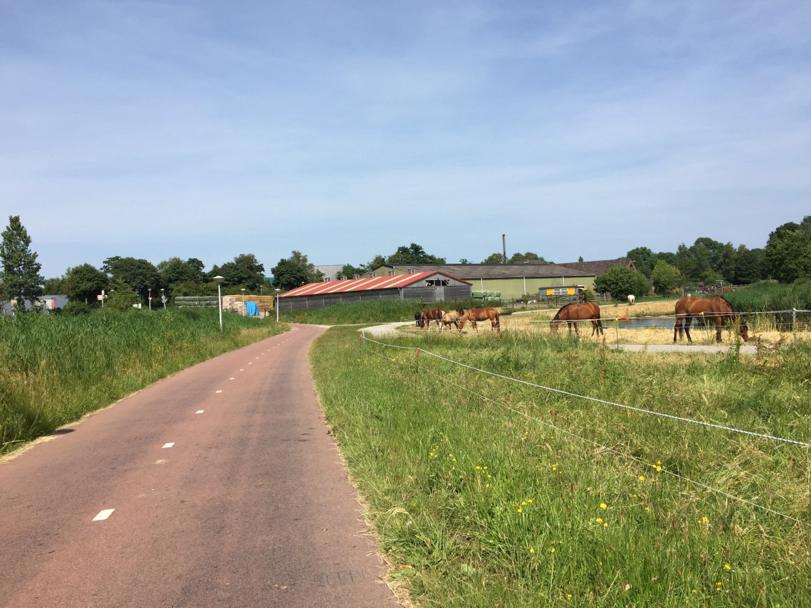 20170621_135507075_iOS