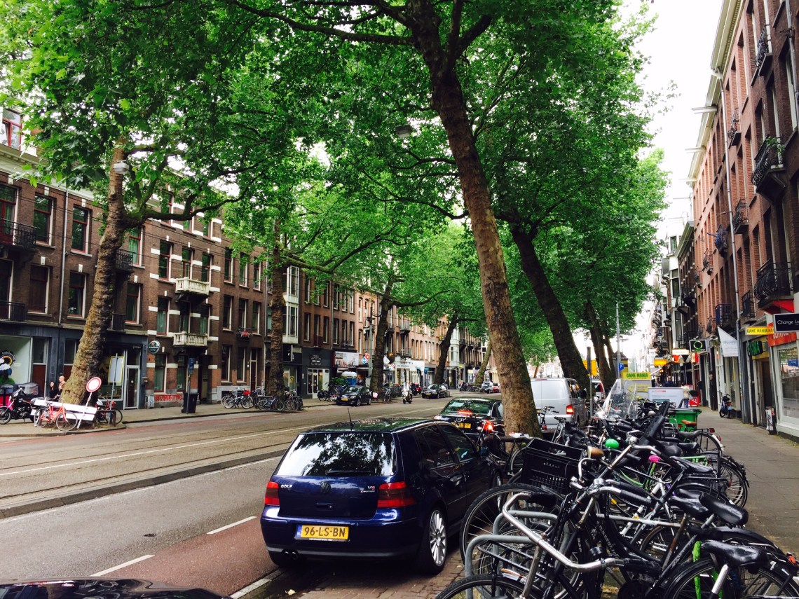 Photo of a typical Dutch street, with LRT lanes in the middle, one car lane in each direction, bike lanes, and generous sidewalks.